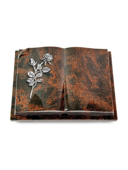 Grabbuch Livre Auris/Aruba Rose 13 (Alu) 50x40