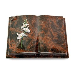 Grabbuch Livre Auris/Aruba Orchidee (Color) 50x40
