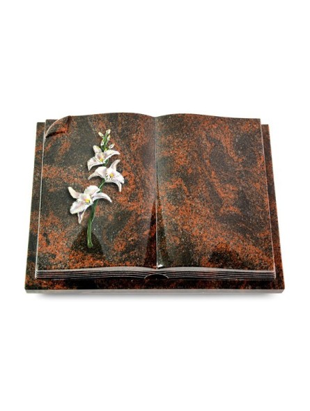 Grabbuch Livre Auris/Aruba Orchidee (Color) 50x40