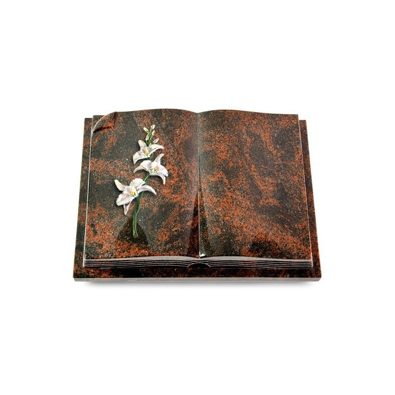 Grabbuch Livre Auris/Aruba Orchidee (Color) 50x40