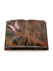 Grabbuch Livre Auris/Aruba Papillon 1 (Color) 50x40