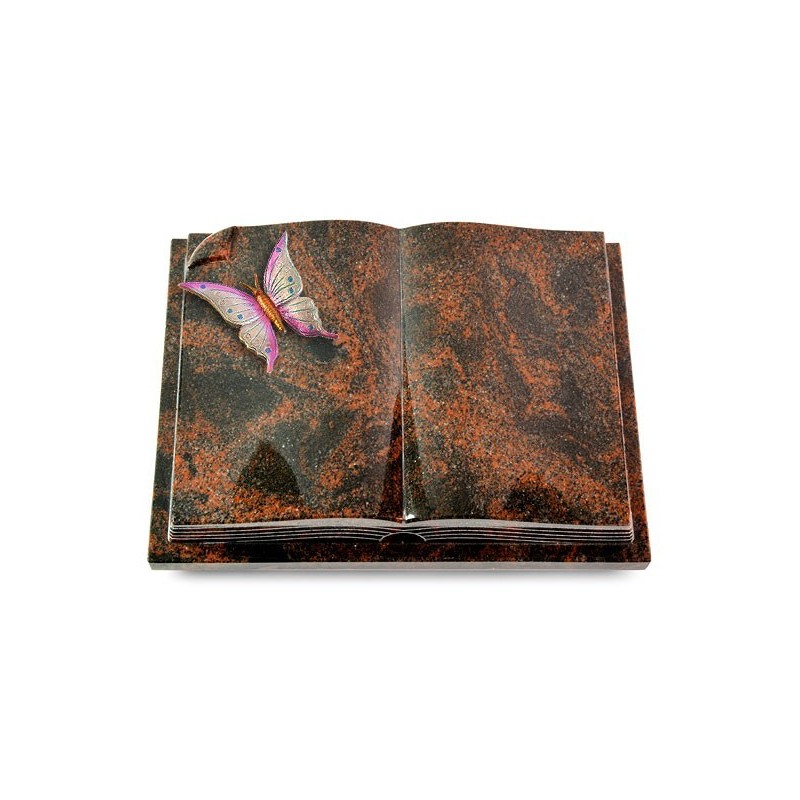 Grabbuch Livre Auris/Aruba Papillon 1 (Color) 50x40