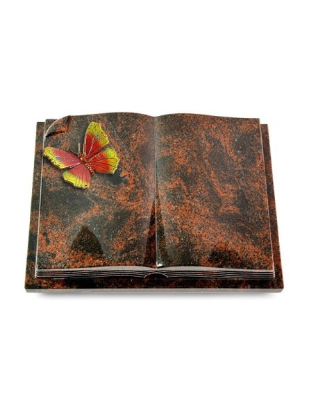Grabbuch Livre Auris/Aruba Papillon 2 (Color) 50x40