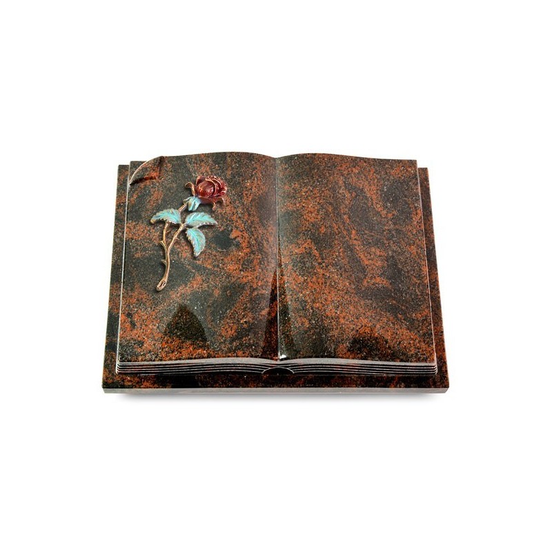 Grabbuch Livre Auris/Aruba Rose 2 (Color) 50x40