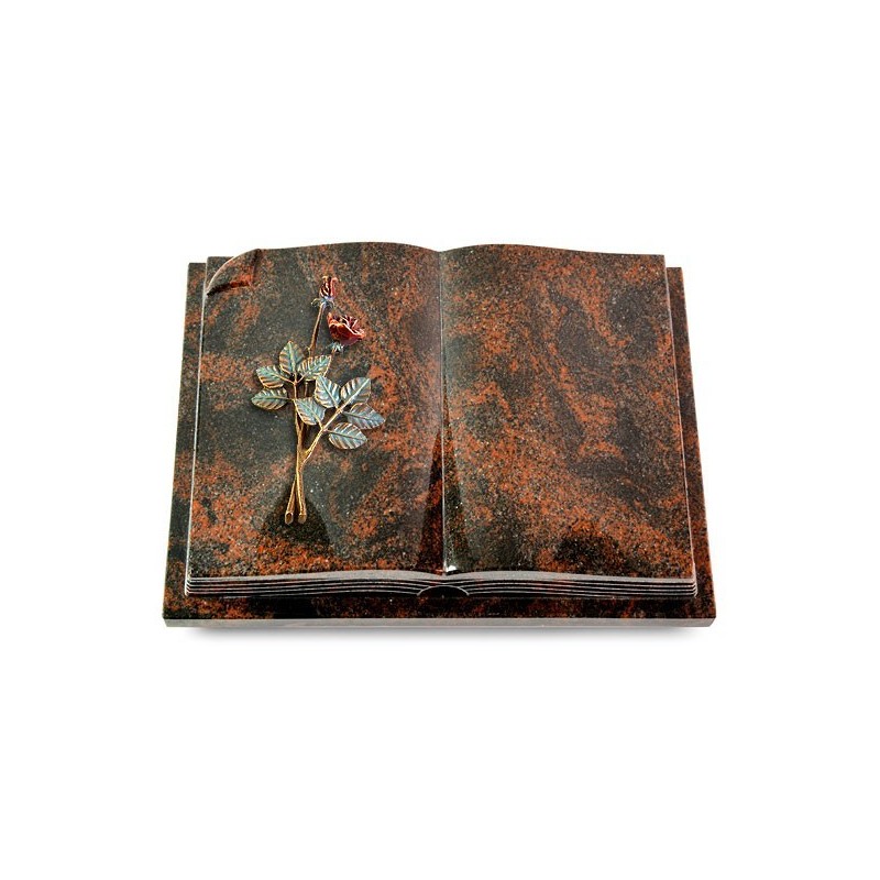 Grabbuch Livre Auris/Aruba Rose 5 (Color) 50x40
