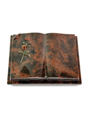 Grabbuch Livre Auris/Aruba Rose 6 (Color) 50x40