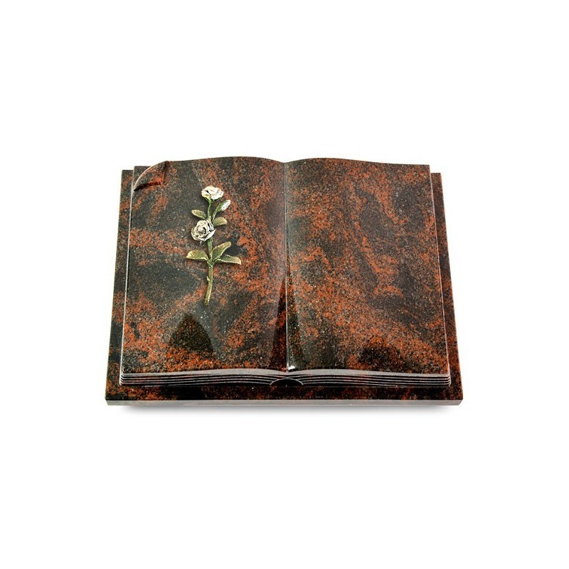 Grabbuch Livre Auris/Aruba Rose 8 (Color) 50x40