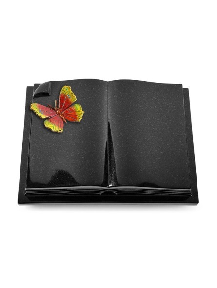 Grabbuch Livre Auris/Indisch Black Papillon 2 (Color) 50x40