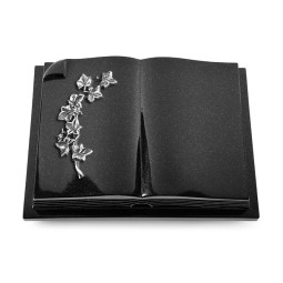 Grabbuch Livre Auris/Indisch Black Efeu (Alu) 50x40