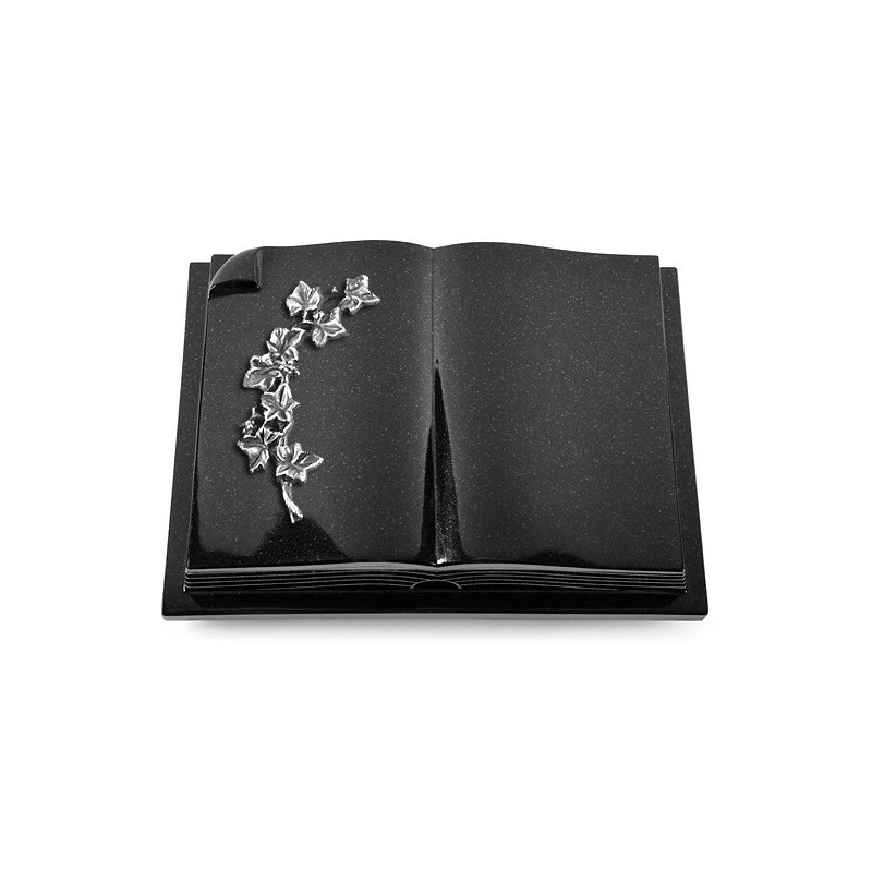 Grabbuch Livre Auris/Indisch Black Efeu (Alu) 50x40