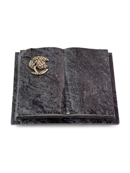 Grabbuch Livre Auris/Orion Baum 1 (Bronze) 50x40