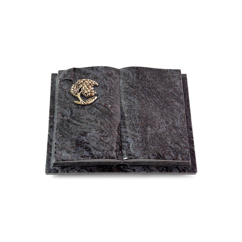 Grabbuch Livre Auris/Orion Baum 1 (Bronze) 50x40
