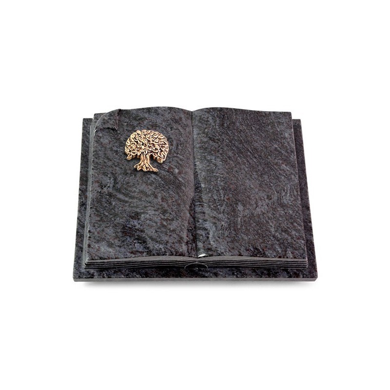 Grabbuch Livre Auris/Orion Baum 3 (Bronze) 50x40