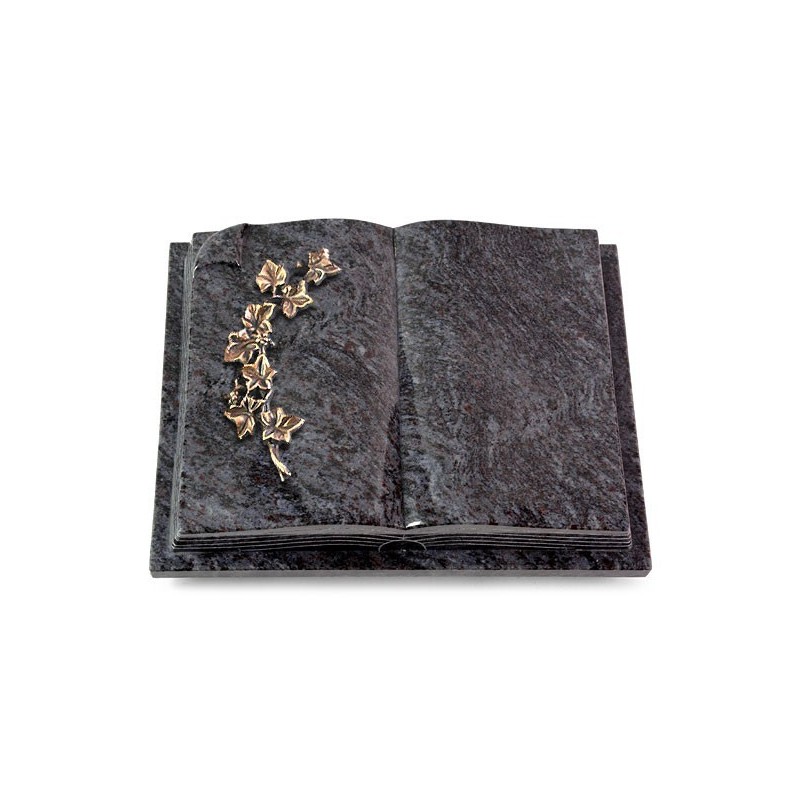 Grabbuch Livre Auris/Orion Efeu (Bronze) 50x40