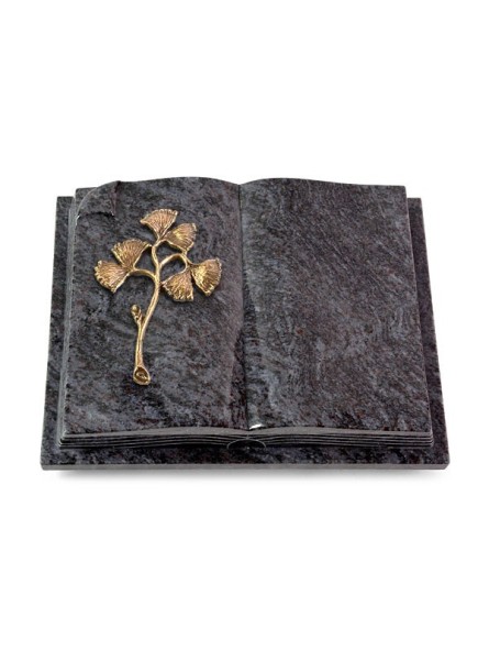 Grabbuch Livre Auris/Orion Gingozweig 1 (Bronze) 50x40