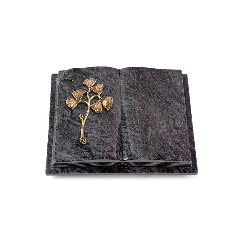 Grabbuch Livre Auris/Orion Gingozweig 1 (Bronze) 50x40