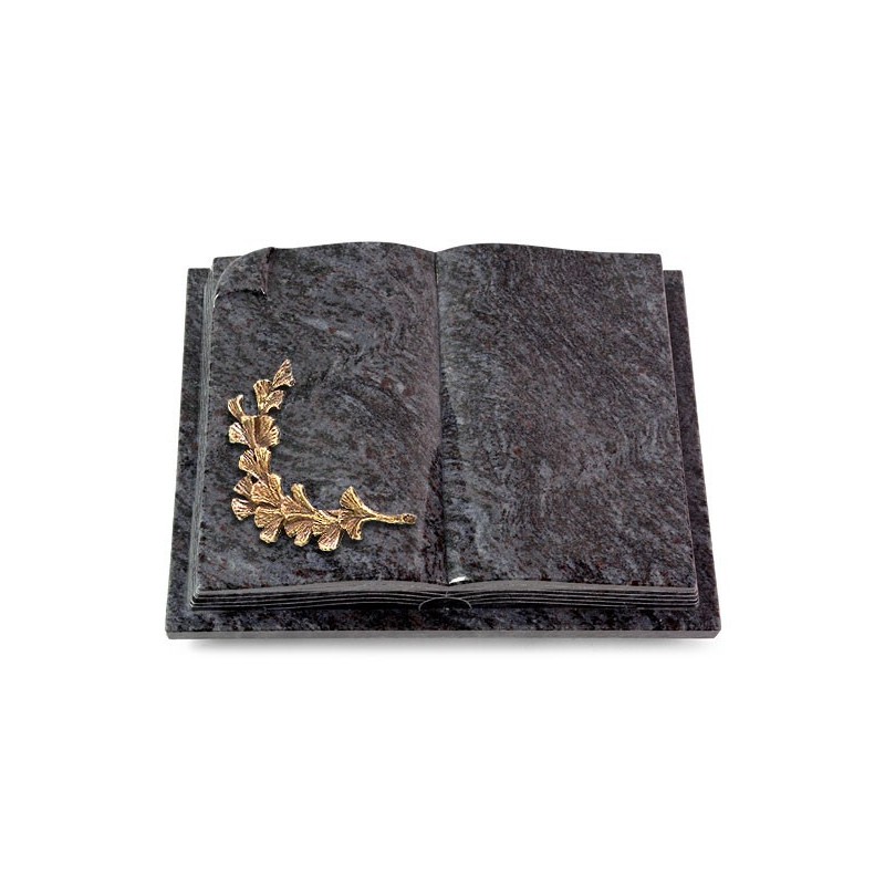 Grabbuch Livre Auris/Orion Gingozweig 2 (Bronze) 50x40