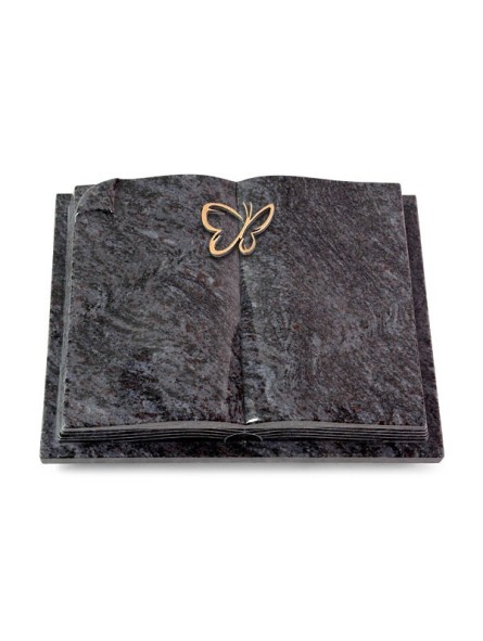 Grabbuch Livre Auris/Orion Papillon (Bronze) 50x40