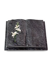 Grabbuch Livre Auris/Orion Orchidee (Color) 50x40