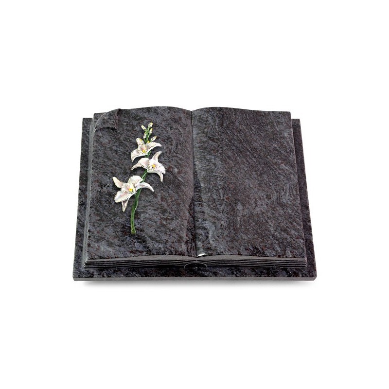 Grabbuch Livre Auris/Orion Orchidee (Color) 50x40