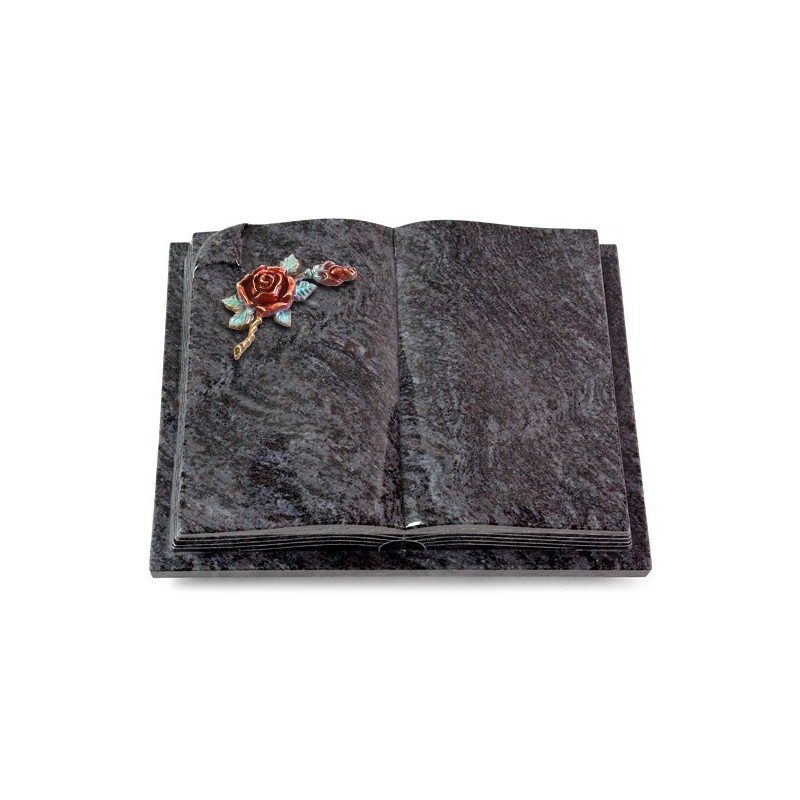 Grabbuch Livre Auris/Orion Rose 1 (Color) 50x40