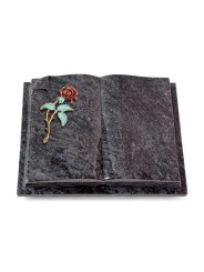 Grabbuch Livre Auris/Orion Rose 2 (Color) 50x40