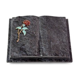 Grabbuch Livre Auris/Orion Rose 2 (Color) 50x40