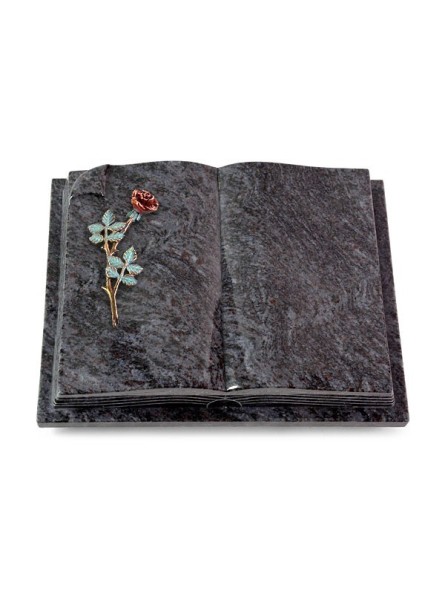 Grabbuch Livre Auris/Orion Rose 4 (Color) 50x40
