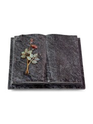 Grabbuch Livre Auris/Orion Rose 5 (Color) 50x40