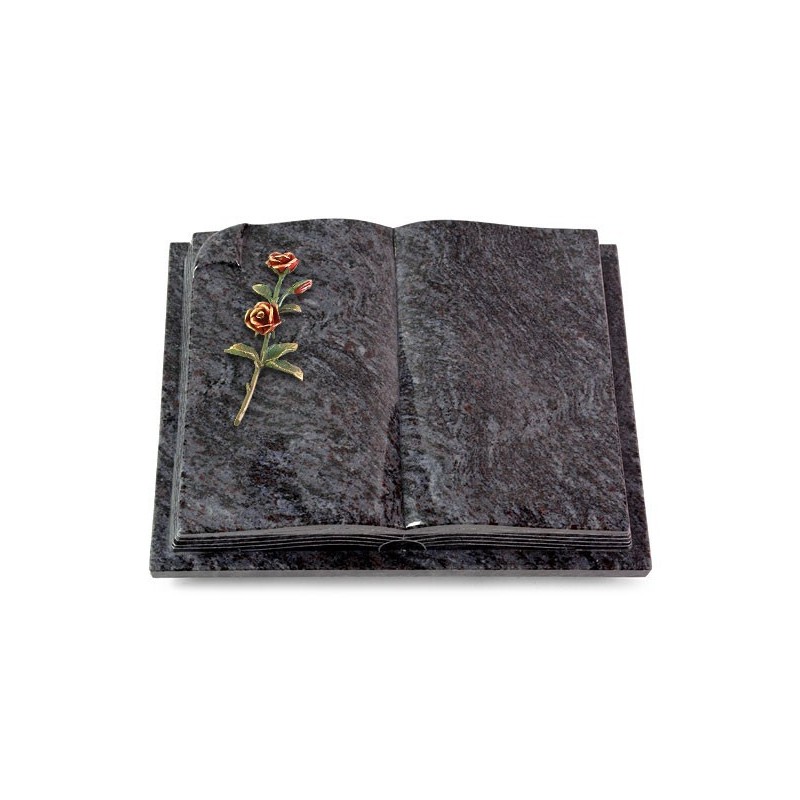 Grabbuch Livre Auris/Orion Rose 6 (Color) 50x40