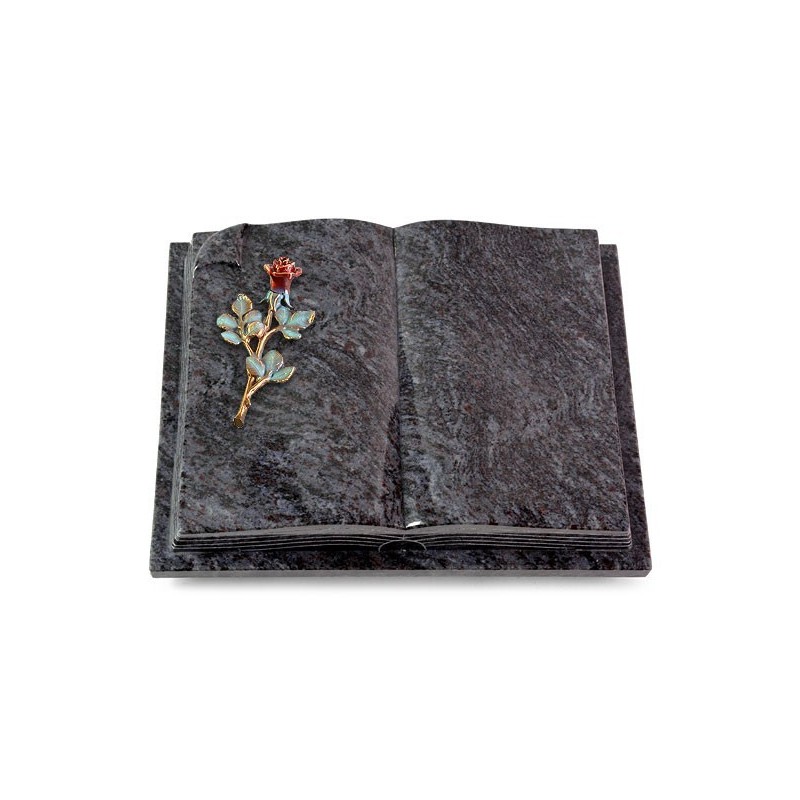 Grabbuch Livre Auris/Orion Rose 7 (Color) 50x40