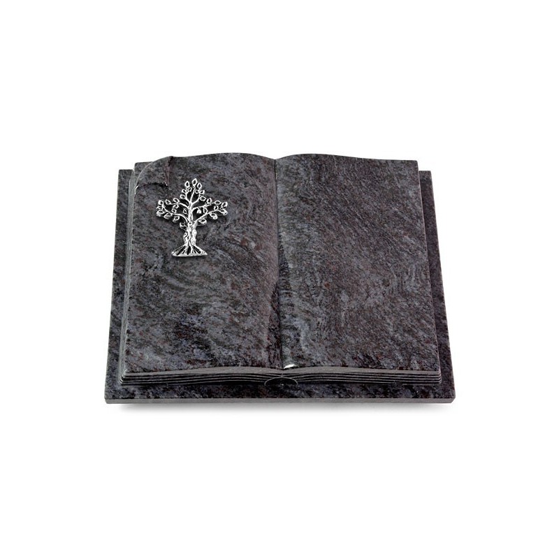 Grabbuch Livre Auris/Orion Baum 2 (Alu) 50x40