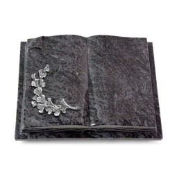 Grabbuch Livre Auris/Orion Gingozweig 2 (Alu) 50x40