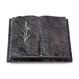 Grabbuch Livre Auris/Orion Lilienzweig (Alu) 50x40