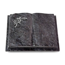 Grabbuch Livre Auris/Orion Rose 1 (Alu) 50x40