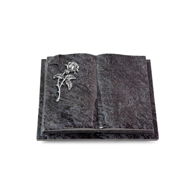Grabbuch Livre Auris/Orion Rose 2 (Alu) 50x40