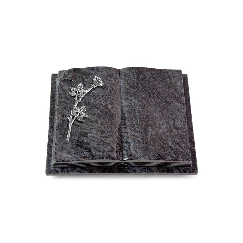 Grabbuch Livre Auris/Orion Rose 9 (Alu) 50x40