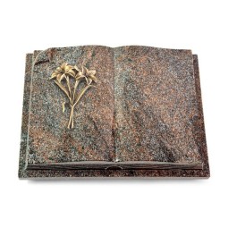 Grabbuch Livre Auris/Paradiso Lilie (Bronze) 50x40