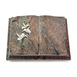 Grabbuch Livre Auris/Paradiso Orchidee (Color) 50x40