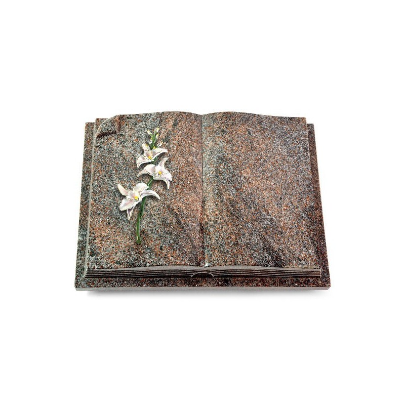 Grabbuch Livre Auris/Paradiso Orchidee (Color) 50x40