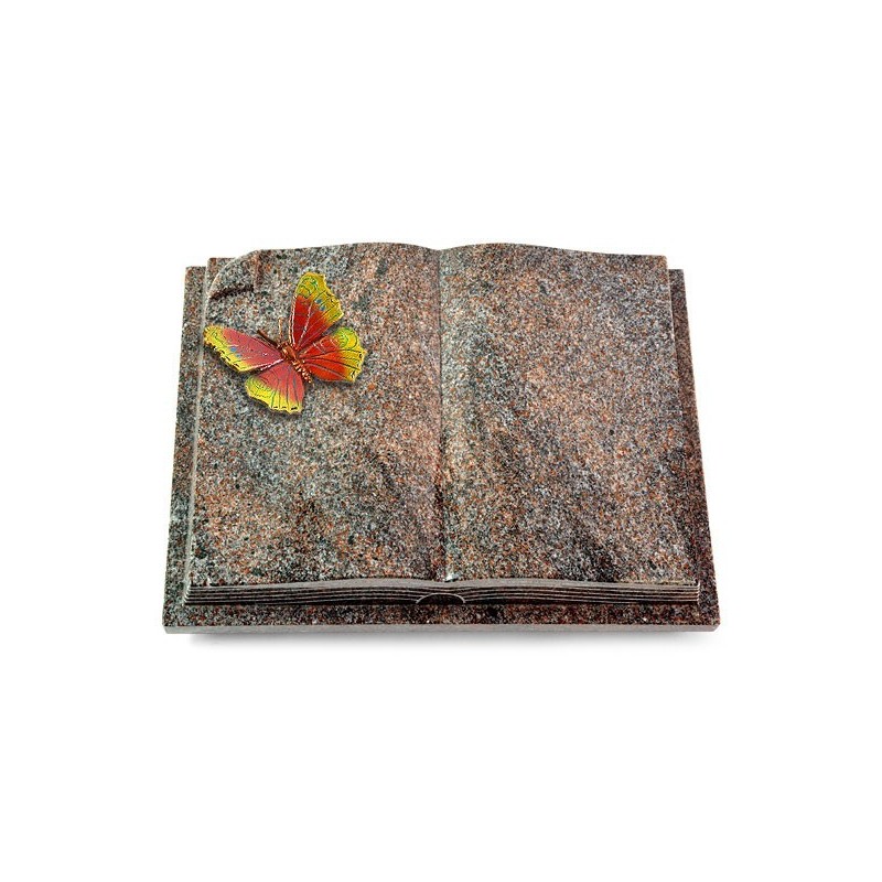 Grabbuch Livre Auris/Paradiso Papillon 2 (Color) 50x40