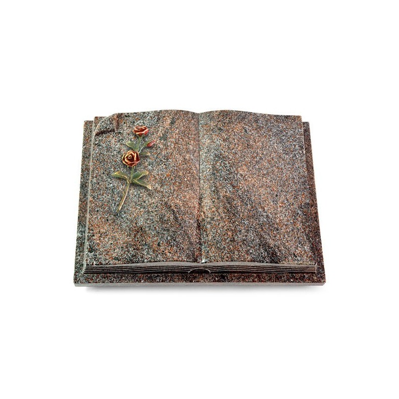Grabbuch Livre Auris/Paradiso Rose 6 (Color) 50x40