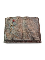 Grabbuch Livre Auris/Paradiso Rose 7 (Color) 50x40