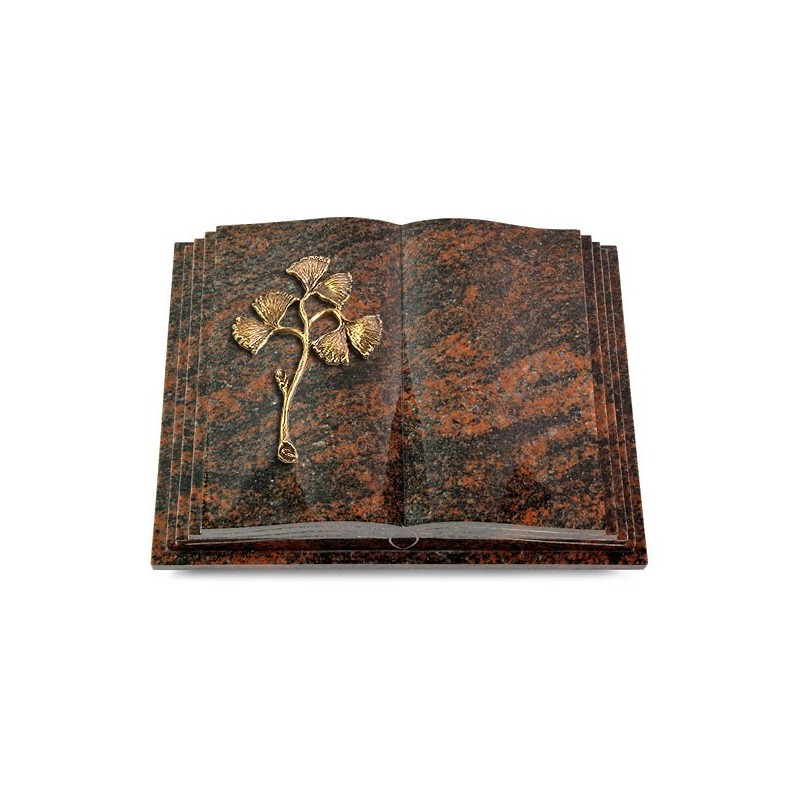 Grabbuch Livre Pagina/Aruba Gingozweig 1 (Bronze) 50x40