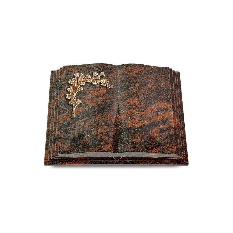 Grabbuch Livre Pagina/Aruba Gingozweig 2 (Bronze) 50x40