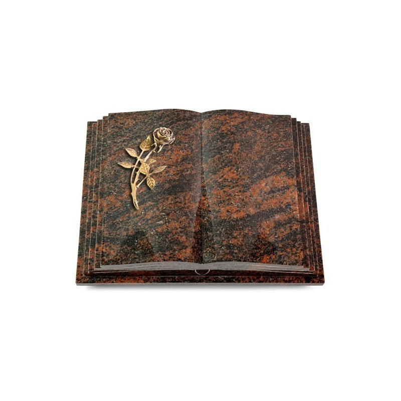 Grabbuch Livre Pagina/Aruba Rose 6 (Bronze) 50x40