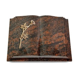 Grabbuch Livre Pagina/Aruba Rose 9 (Bronze) 50x40