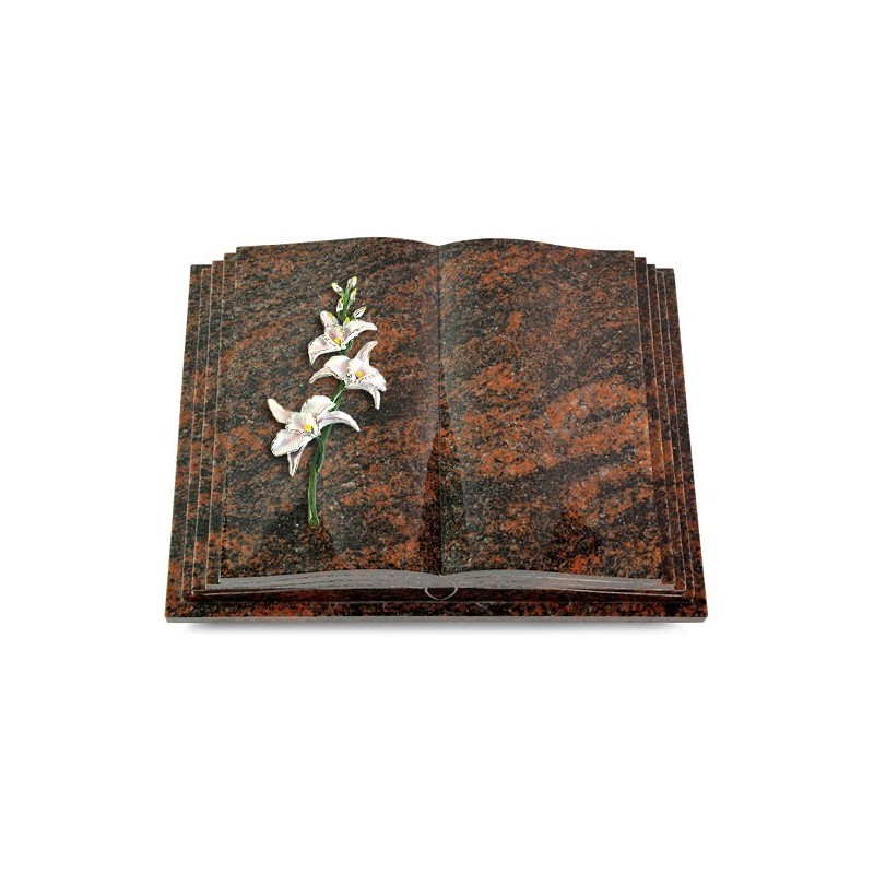 Grabbuch Livre Pagina/Aruba Orchidee (Color) 50x40