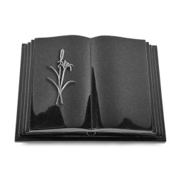 Grabbuch Livre Pagina/Indisch Black Lilienzweig (Alu) 50x40