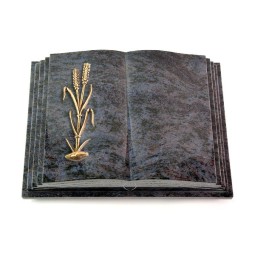 Grabbuch Livre Pagina/Orion Ähren 2 (Bronze) 50x40